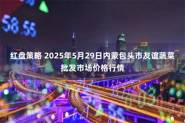 红盘策略 2025年5月29日内蒙包头市友谊蔬菜批发市场价格行情