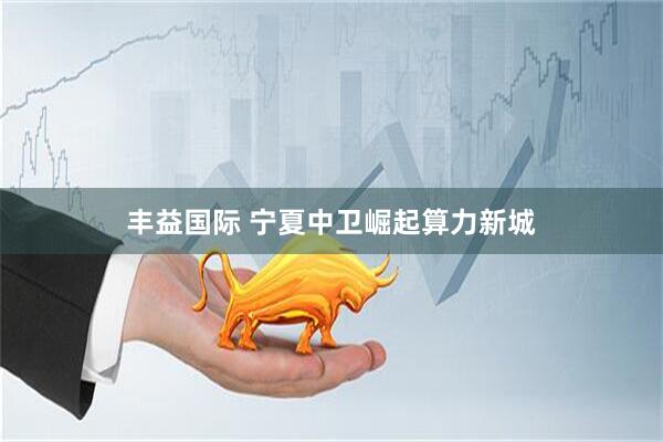 丰益国际 宁夏中卫崛起算力新城