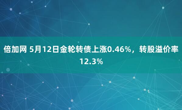 倍加网 5月12日金轮转债上涨0.46%,转股溢价率12.3%