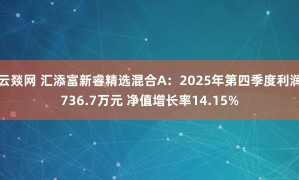 云燚网 汇添富新睿精选混合A：2025年第四季度利润736.7万元 净值增长率14.15%
